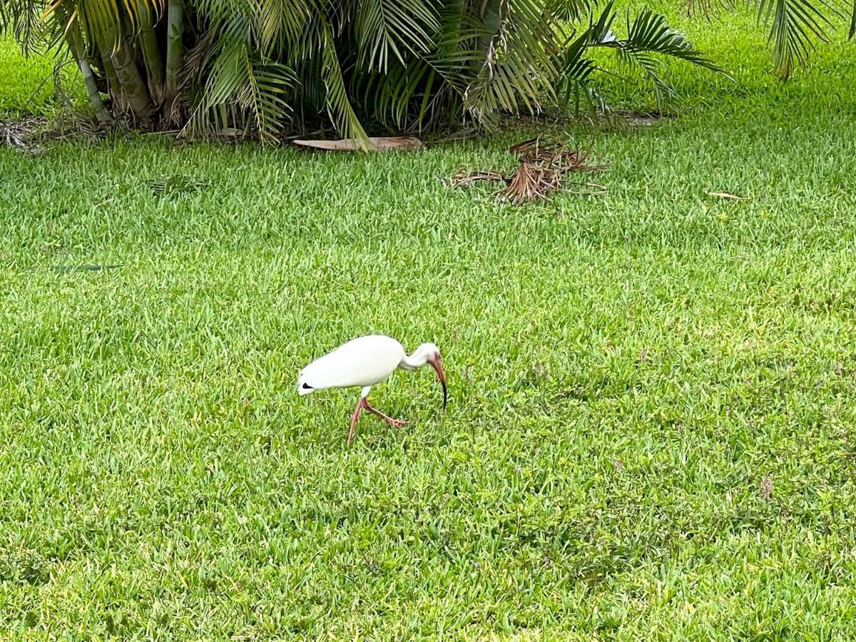 Villagoona Cape Coral Exterior photo